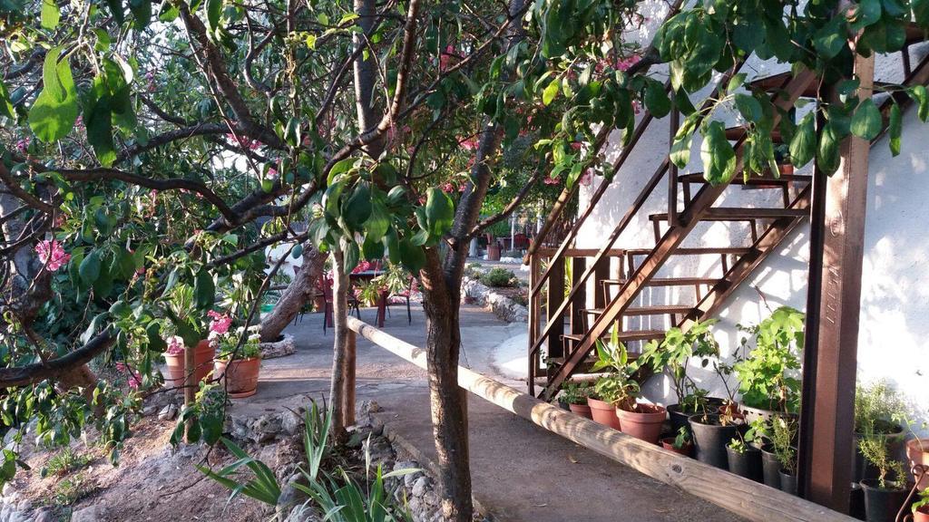 Posada Nina Margarita Прієго-де-Кордова Екстер'єр фото